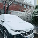 [수서1] 목요 피아노 (C) | 소소한 일상기록 :: 12/16 - 12/31✨