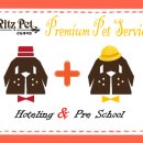 리츠펫 강남세곡점 이미지