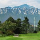 플라자C.C 이미지