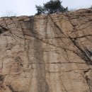 신안주씨 삼세적선비 | 그리 오래되지 않은 노거수들과 사대부 묘역들 - 경기 시흥[1]