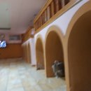 제주아리마찜질방 이미지