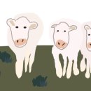 선물 for you 네이버블로그