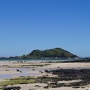 산타아나스 이미지