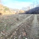 여주-1032 이미지