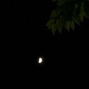 수아리질러 코인노래연습장 이미지