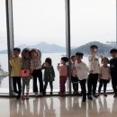 파파바운스