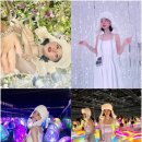 매직인터렉티브(주) | 일본 도쿄 자유 여행 팀랩 도쿄 플래닛츠 예약 리뉴얼 전시회 후기
