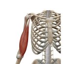 머슬팩토리24 삼천포점 이미지