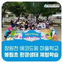 봉림초등학교 이미지