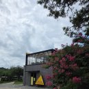 대주카서비스 | [고양/일산] 옐로우마운틴 과수원이 있는 특별한 이곳 일산카페로 추천드려요