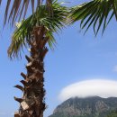 카지킴이서비스 이미지