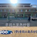 옥계초등학교 이미지