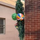 행정사 이병열 사무소 이미지