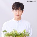 파파 이미지