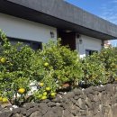 마당바베큐 이미지