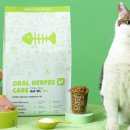 캣플 동탄점 이미지