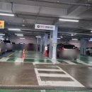 파티마약국 이미지