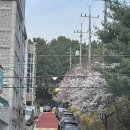 [갈마동] 내돈내산 솔직후기 &#39;애프터글로우&#39;, 카페&#39;인셉트&#39;