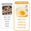 하동군산지유통센터 | 국산 무항생제 유정란 20구추천 난각번호1번 산지 신선계란 내일배송후기