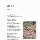 임플란트 이미지