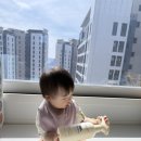 우리아이장난감렌탈 | 베베린 아기 장난감 소독스프레이 사용 후기, 우리 아이 장난감 위생관리 토이클리너 추천