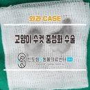 한주동물병원 이미지