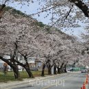 성대1리 이미지