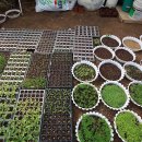 살바토레펜션 이미지