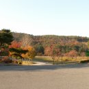 리치랜드 이미지