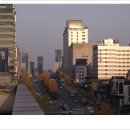 신사프라자약국 이미지