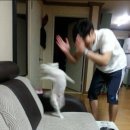 비에이치씨(BHC) 백학점 | 내가 나를 못 믿을 때는 나를 믿어준 것들을 믿자