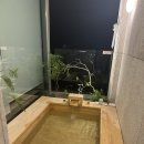 삼익비치아파트  노동조합 | 부산 벚꽃 당일치기 여행🌸 / 부산 벚꽃 숨겨진 명소 / 경주 대릉원 벚꽃축제