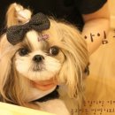 코코바니