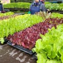 권선농약사 이미지