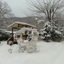 연인벨리 이미지