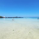 바다아이 이미지