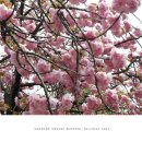 전주덕진초등학교 이미지