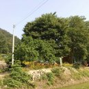 삼한농장 이미지