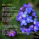 [MP3] 물망초 / 이해인 시, 김영주 작곡 / 바리톤 이경원 이미지