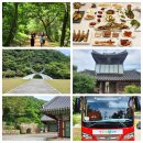 영광송정상사 | 전남 영광 가볼만한곳 물무산 행복숲 황톳길 불갑사 영광쉼투어 가심비 여행 코스