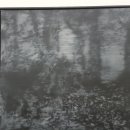 신미술관 이미지