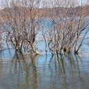 예산군 버스투어 이미지