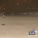 용호운동장 이미지