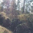 도덕면사무소 이미지