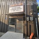 낭만펫 강아지분양 고양이분양 대전 본점 이미지