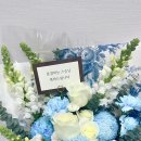 페다고지 이미지