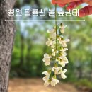 돌탑공원(팔룡근린공원) | 창원 팔룡근린공원 팔룡산 산책 봉암수원지 봄 숲생태 탐방