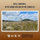탐나도가 이미지
