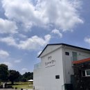 제주청정스팟 | 제주 승마체험 목장카페 밭디, 서귀포 가볼 만한 곳 제주여행 코스 대만족 후기