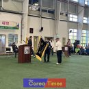 정노